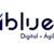 iBlue Consulting