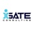 iGATE Consulting