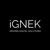 IGNEK