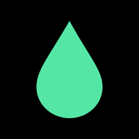 Ink Web Design