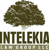 Intelekia Law Group LLC