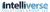 Intelliverse Solutions Group, LLC
