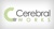 Intely Cerebral Works