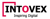 Intovex Consulting Services
