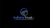 Investor Trust LLC