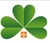 Irish Realty Corporation