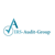 IRS Audit Group