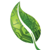 ISafe Technologies, Inc.