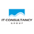 IT Consultancy