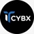 IT CYBX LTD