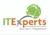 IT Experts Agency INC
