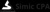 JFS Systems Inc