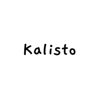Kalisto digital marketing agency