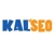 KALSEO Professional SEO Services in USA