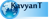 Kavyant Technologies