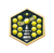 King Solutions