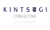 Kintsugi Consulting (Opc) Private Limited