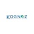 Kognoz Consulting