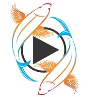 KOI-FLY CREATIVE PRODUCTIONS