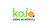 Kojo Sales Academy