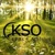 KSO CPAs + Advisors