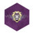 Lambda Lion Group