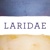 Laridae