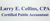 Larry E. Collins, CPA