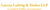 Larson Ludwig & Stokes LLP