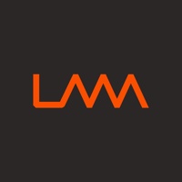 Lavva - Digital Agency