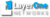 Layer One Networks