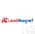 Lead Magnet