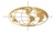 Leadership and Coaching Partner International