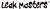 Leak Masters