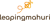 Leaping Mahuri Pvt. Ltd.