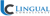 Lingual Consultancy Services Pvt. Ltd.