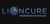 LİONCURE BİLGİ TEKNOLOJİLERİ TİCARET LİMİTED ŞİRKETİ