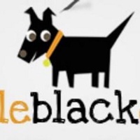 Little Black Dog