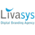Livasys IT Solution