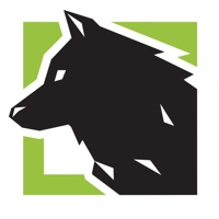 Lupus Art Net