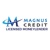 Magnus Credit Pte Ltd