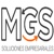 Management Global Solutions