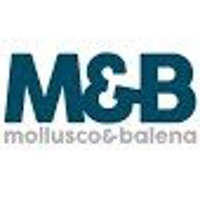 M&B SRL
