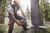 Manhattan Tree Trimming and Removal Company
