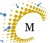 Maxmillian Management