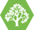 Mcauley Tree Surgery