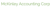 McKinley Accounting Corporation