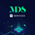 MDS IT Services