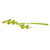 Meadows Urquhart Acree & Cook, LLP