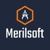 Merilsoft LLC